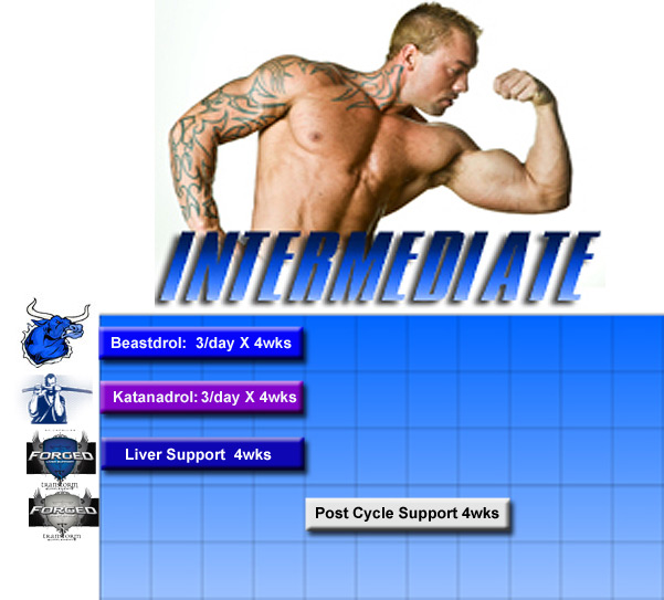 IntermediateCycleGrid.jpg