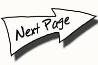 Homemade Protein Bar