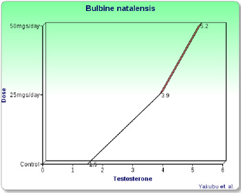 testoterone.jpg