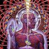 Lateralus1