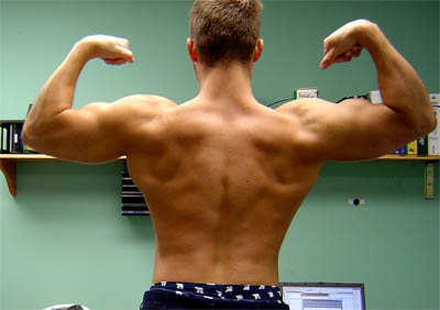42758back.jpg