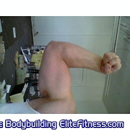 gunshow.jpg