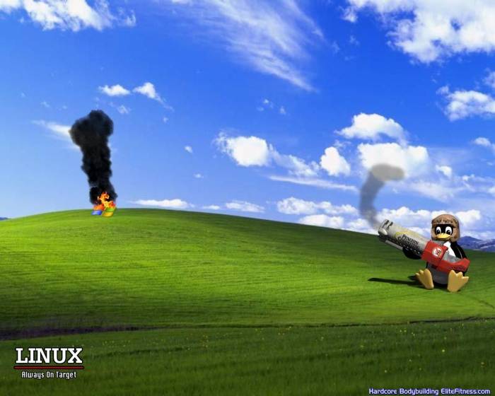 linux-tux-born-2-frag-XP.jpg