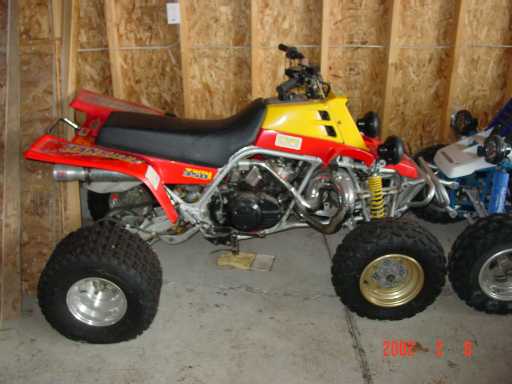 quad1.jpg