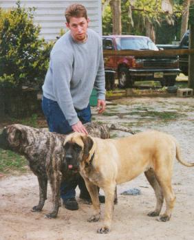 4-02DOGS004.jpg