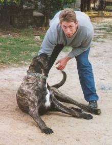 4-02DOGS010.jpg
