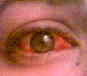 Picture%2023.jpg