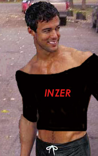 inzermodel.jpg