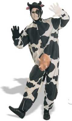 cow.jpg