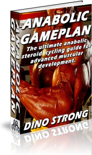 muscle building steroid cycles