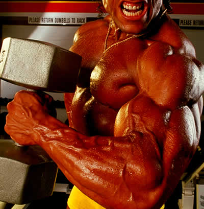 Anabolic Steroid Cycles