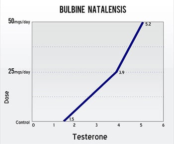 Winstrol raise testosterone