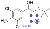 Hcg half life steroids