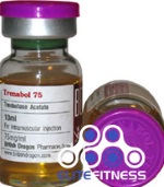 trenabol-britishdragon