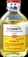 equipoise-veterinarian