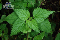 fb6fcd54dfa2cd61ed5f6d7453f4427e8b5a9c2f9f37e016a4pimgpsh_fullsize_distr