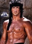 Sylvester Stallone Steroid Cycles