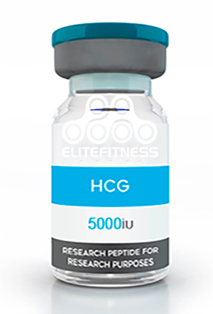 HCG bottle