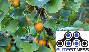 Gingko biloba hgh