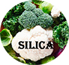 Silice