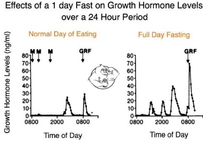 effects of fasting on growth hormone