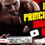 IronOverload.io Hardcore 31 - IIFYM principles, macros real? Macros