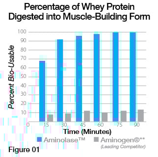 Graph of percentage of whey proteins digested into Muscle-Building Form
