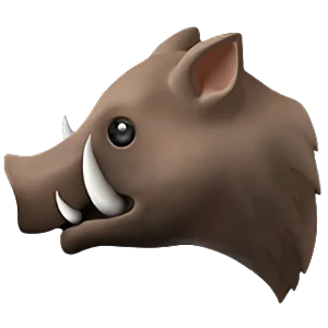 1748689568408.webp