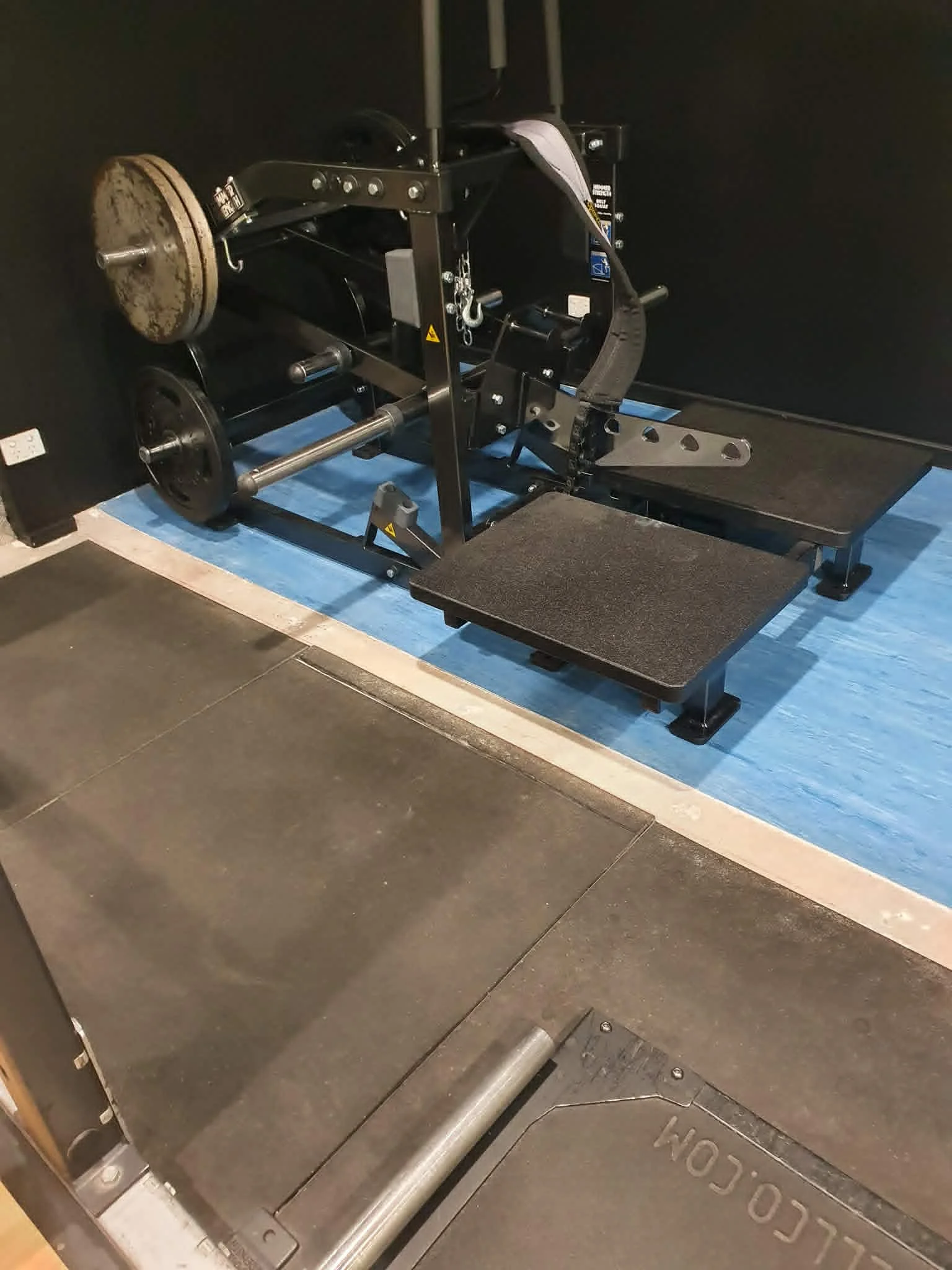 belt squat.webp