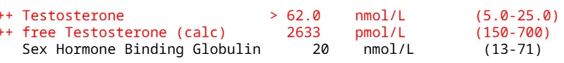image.webp