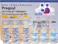pregnyl-hcg.webp pregnyl-hcg.webp