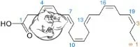 Docosahexaenoic-acid.webp