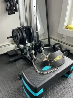belt squat.webp