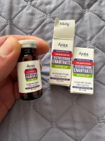 avex order.webp