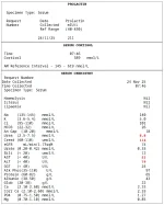 Screenshot 1.02.02.webp