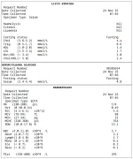 Screenshot 1.02.03.webp