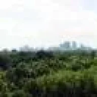 mazevedo_013