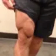 progymrat
