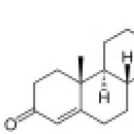 Muscle Chemistry