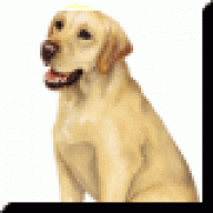 logiciantest