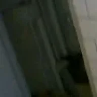 NickyG