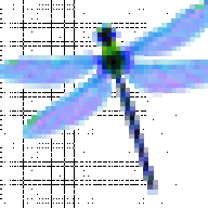 DRAGOFLY