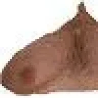 bebasshomeisafatmanboob