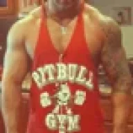 PiTT81