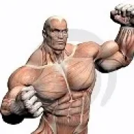 steelmass