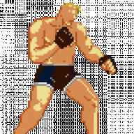 mma_fighter