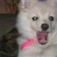 jleigh
