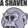 shaved_ape