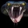 ViperRulz