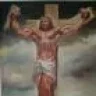 juicedmuscle